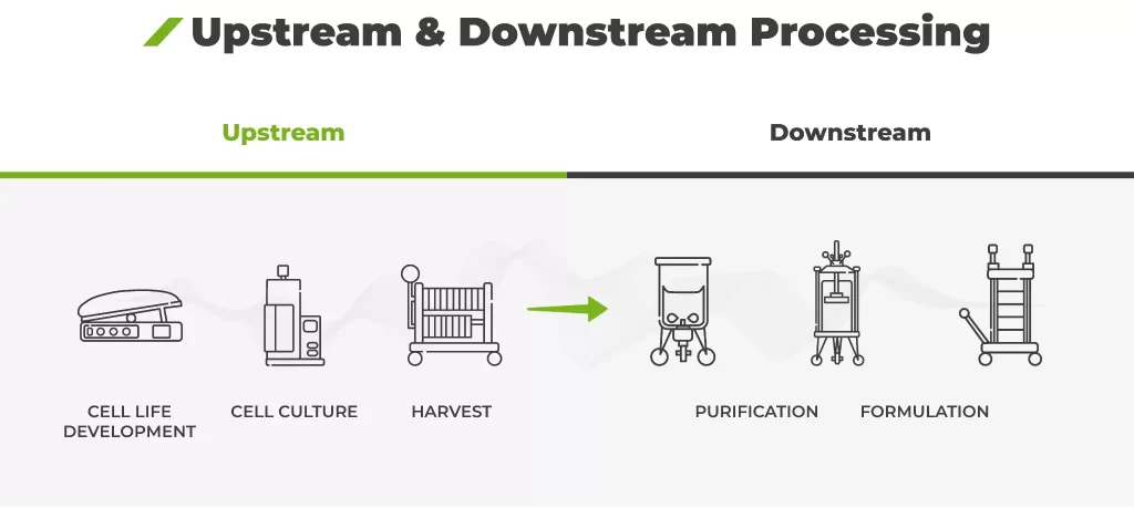 upstream and downstream processing